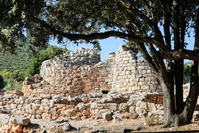 Low angle view of stone wall against trees