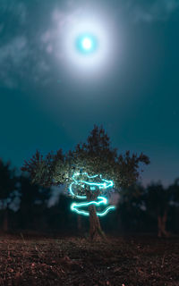 Light painting on tree against sky at night