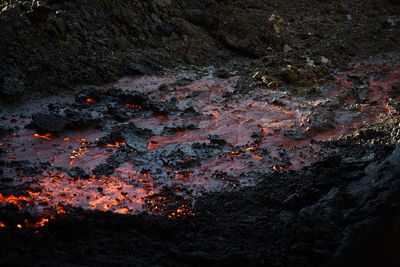 High angle view of bonfire on rock