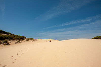 Scenic view of desert against sky