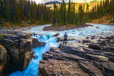 Scenic view of waterfall in forest