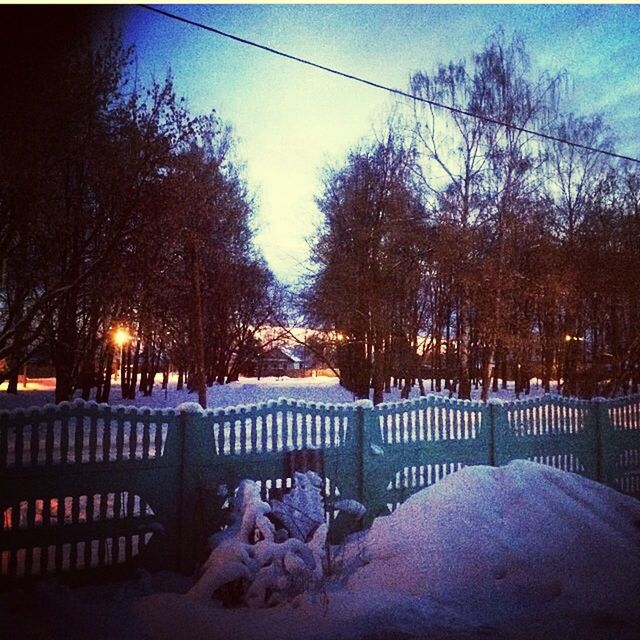 snow, winter, tree, cold temperature, bare tree, season, weather, sky, railing, nature, covering, frozen, dusk, illuminated, tranquility, park - man made space, built structure, outdoors, night, tranquil scene