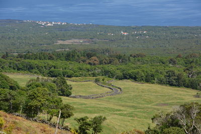 High angle view of trees on field against sky