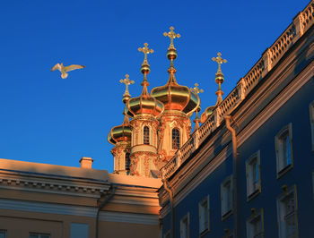 Low angle view of seagull flying by onion domes of catherine palace