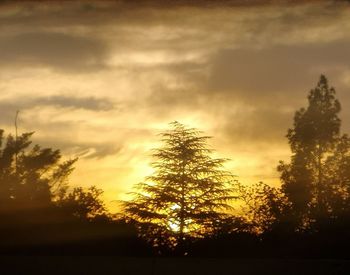 Silhouette trees against sky during sunset