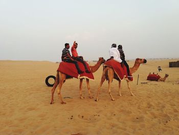 People riding camels in desert against sky