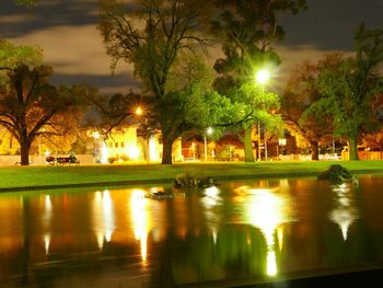 Reflection of trees in water at night