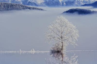 Close-up of snow on frozen lake