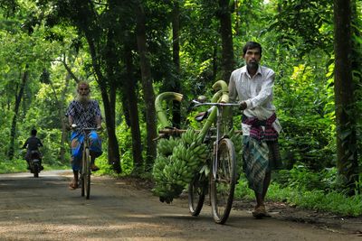 Rear view of woman walking in forest