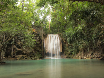 Scenic view of waterfall in forest