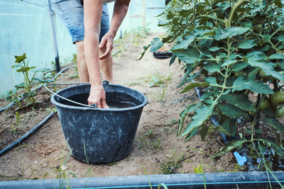 Midsection of woman with bucket standing by plants