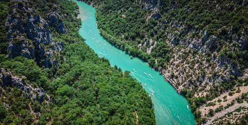 High angle view of river amidst trees