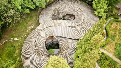 Close-up of spiral staircase amidst trees