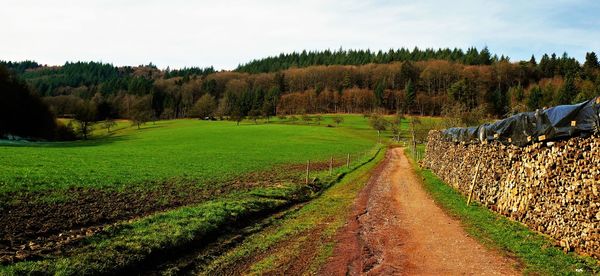 Panoramic view of agricultural field against sky