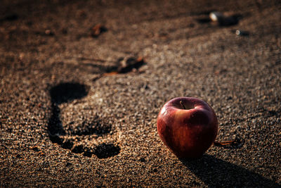 High angle view of apple on sand