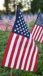 Close-up of flag against plants