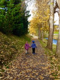 Rear view of woman walking on footpath