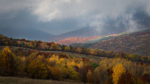 Scenic view of trees against sky during autumn