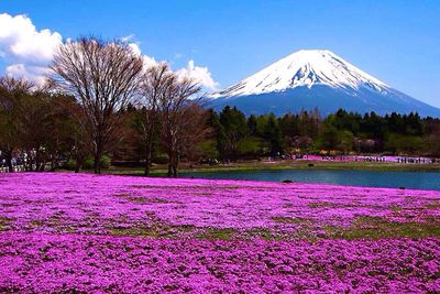 Scenic view of snowcapped mountain against sky