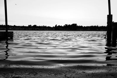 Reflection of trees in water