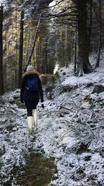 Rear view of woman walking in snow covered forest