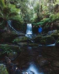 View of waterfall in forest