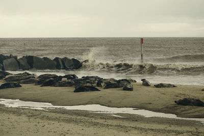 Scenic view of beach against sky