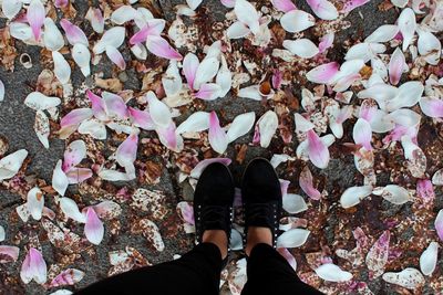 Low section of woman standing on pink leaves