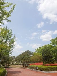 Footpath amidst trees in park against sky