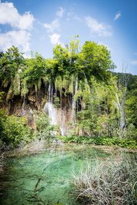 Scenic view of waterfall against trees in forest