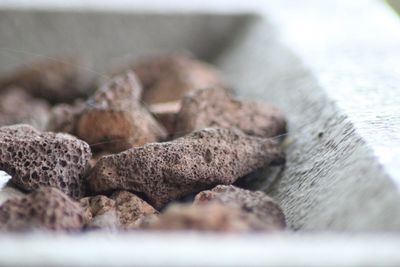 Close-up of bread on rocks
