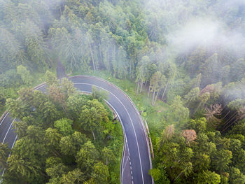 High angle view of road amidst trees in forest