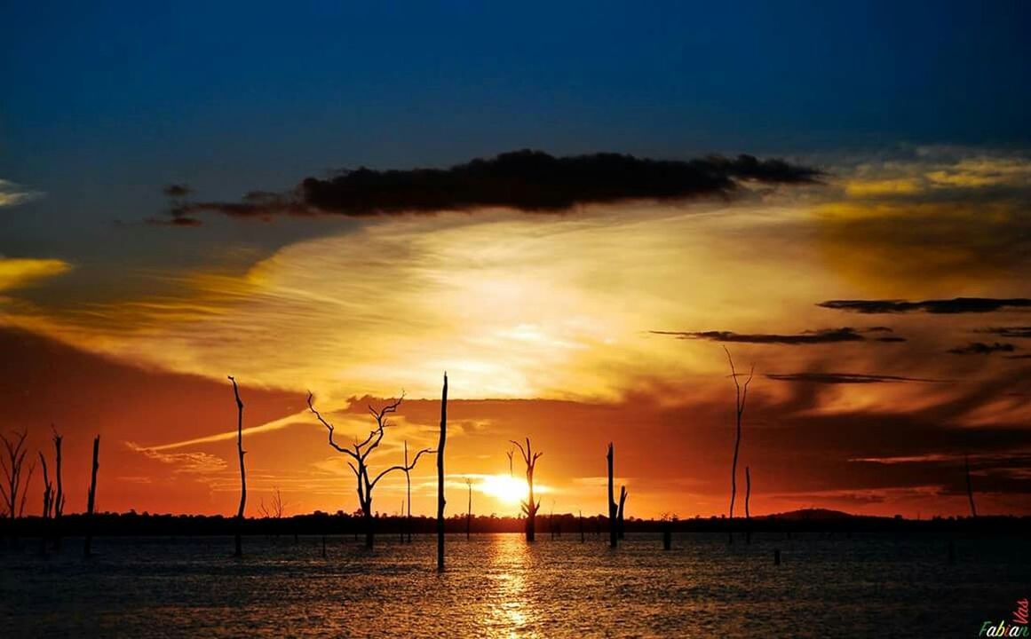 sunset, sun, orange color, silhouette, scenics, sky, tranquil scene, water, beauty in nature, tranquility, idyllic, nature, wind turbine, fuel and power generation, cloud - sky, alternative energy, dramatic sky, sunlight, renewable energy, environmental conservation