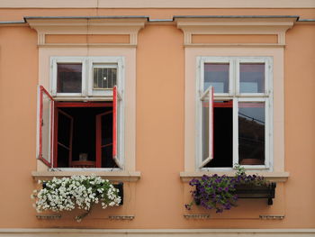 Two opened windows with flowers bellow