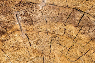 Full frame shot of cracked land