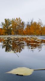 Scenic view of lake against clear sky