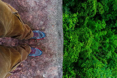 Low section of person standing on rock over trees