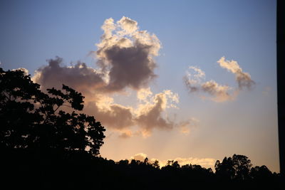 Low angle view of silhouette trees against sky during sunset