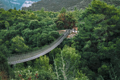 High angle view of bridge in forest