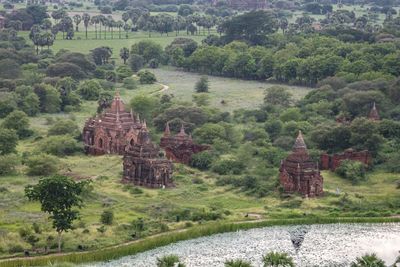 High angle view of pagodas hidden in nature