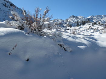 Scenic view of snow covered field against sky