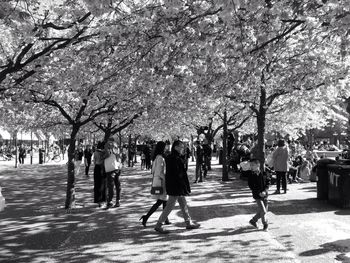 People in park