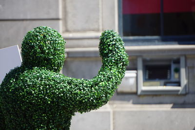 Close-up of broccoli