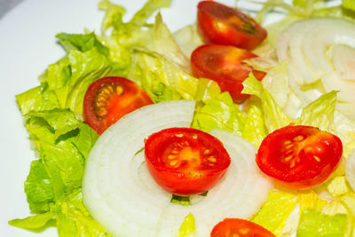 Close-up of salad in plate