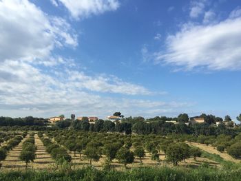 Scenic view of field against cloudy sky