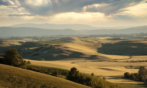 Scenic view of agricultural field against sky