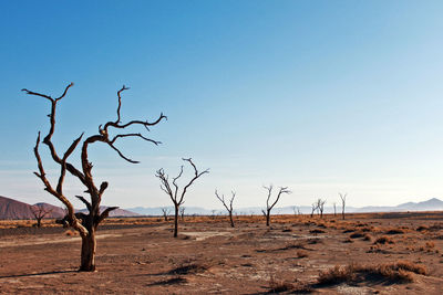 Scenic view of landscape against clear sky