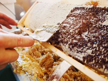 Close-up of hand holding ice cream