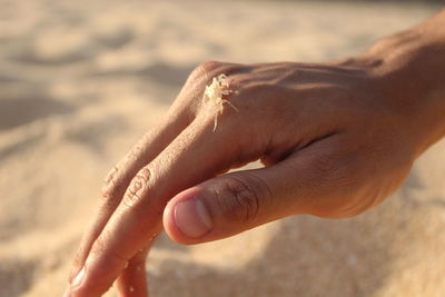 Close-up of hands on sand