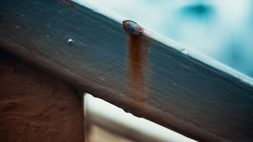 High angle view of lizard on metal railing